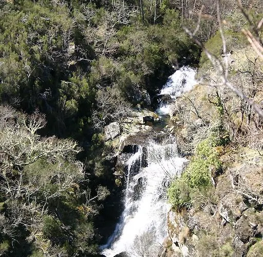 Casa Entre-palheiros E Casa Do Canastro Montalegre
